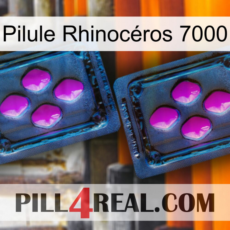 Pilule Rhinocéros 7000 03